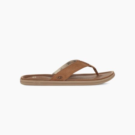 UGG Brookside - Flip Flops Herre - Brune (NO-X928)